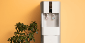 Wasserspender, Pflanze