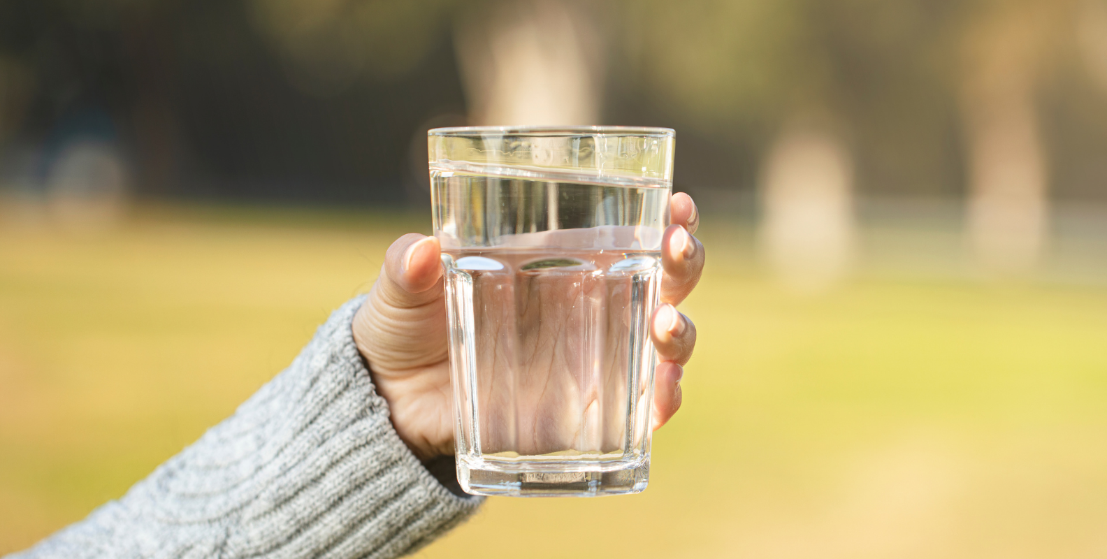 Wasserglas mit Wasser gefüllt